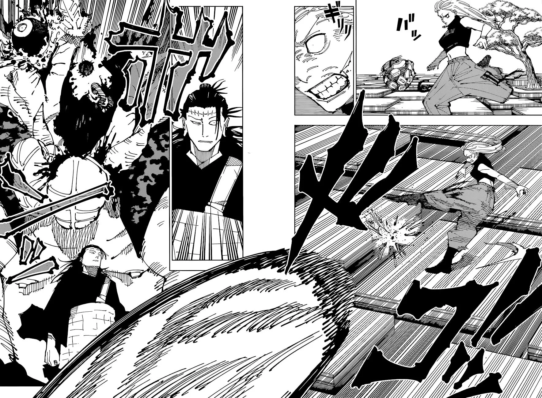Chapter 205 (5)