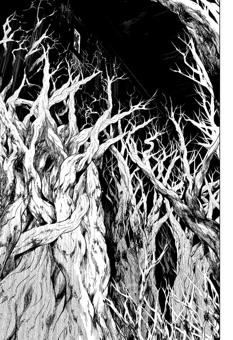 Chapter 144 (13)