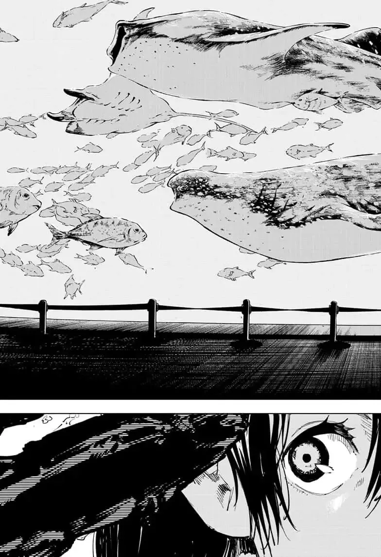 Chapter 70 (17)